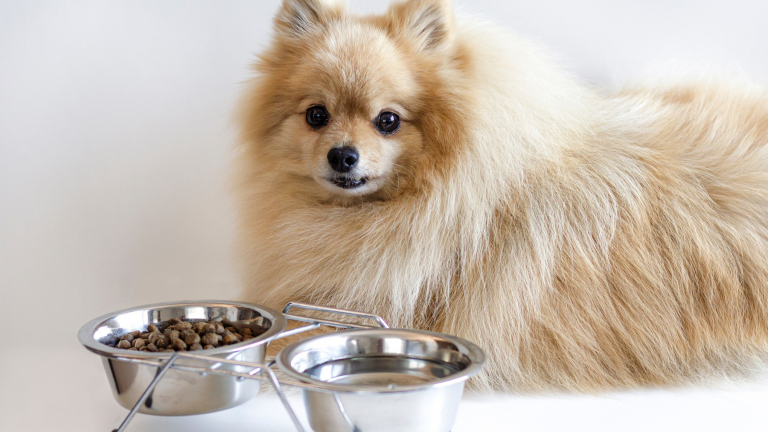 Transition to a new food