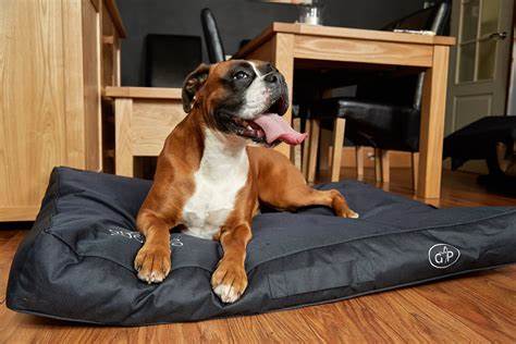beds-and-cushions